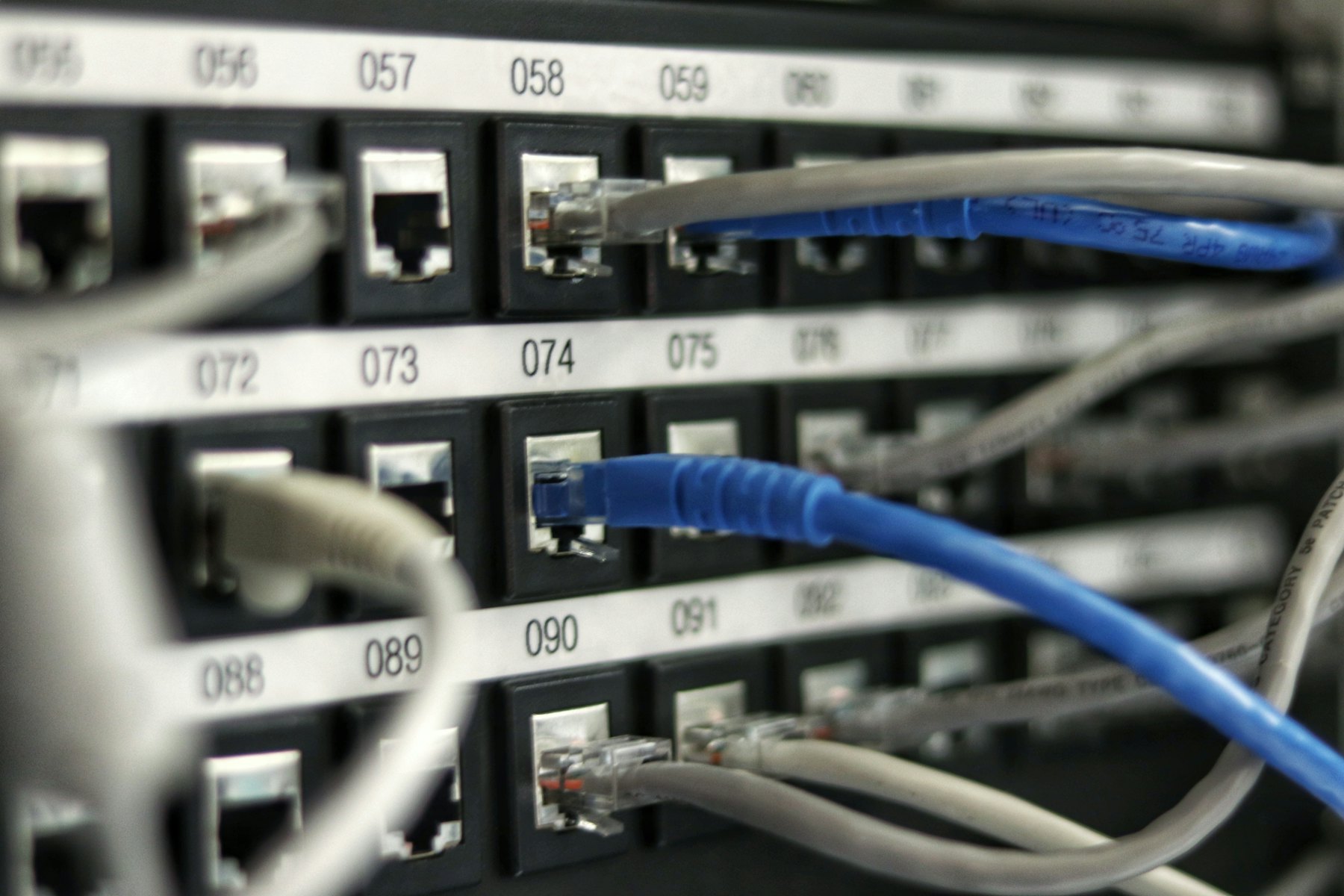Network patch panel densely filled with blue ethernet cables